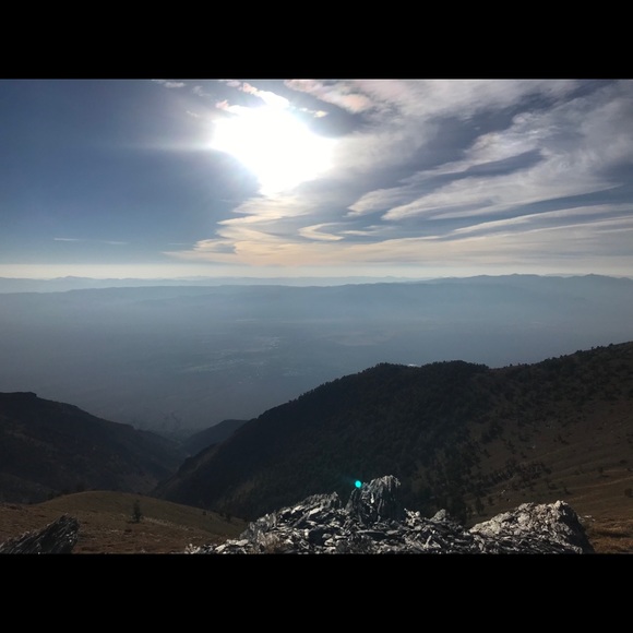 Meet Skidal - Picture 2 of 4